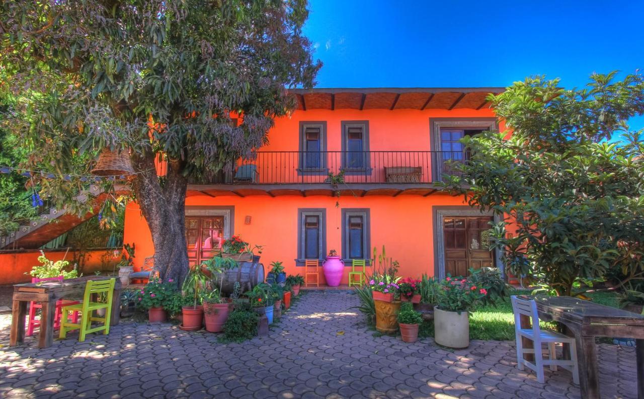 Santa Lucia Hotel Boutique Mascota Exterior photo